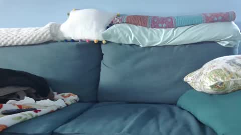 Chelsea online show from January 15, 8:37 pm