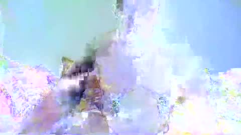 Snapshot of chrispainpig chatting on January 7, 3:33 pm Chrispainpig torture bdsm masochist slave submissive hardcore anal CBT humiliation online show from January 7, 3:33 pm