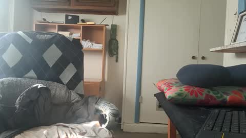 chuck7891 online show from October 22, 2:50 pm