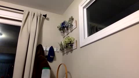 Snapshot of coachnta chatting on December 14, 12:49 am COACH online show from December 14, 12:49 am