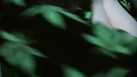 TheGoddessCodie online show from December 29, 8:26 pm