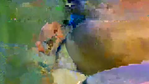 Snapshot of colourlight chatting on November 9, 11:47 pm colourlight online show from November 9, 11:47 pm