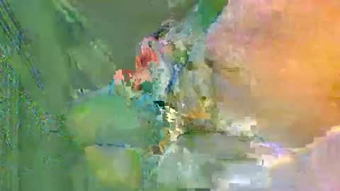 Snapshot of colourlight chatting on November 24, 12:10 am colourlight online show from November 24, 12:10 am