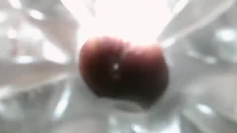 bearded hairy pits big brown cock online show from December 7, 10:17 pm