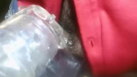 bearded hairy pits big brown cock online show from January 13, 10:45 pm