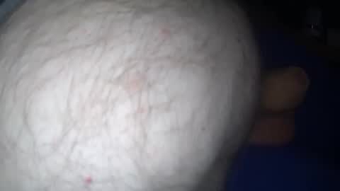 Harry 13 online show from November 15, 2:57 pm