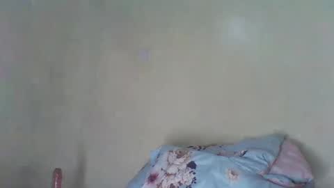 cookie jar online show from January 7, 11:05 am