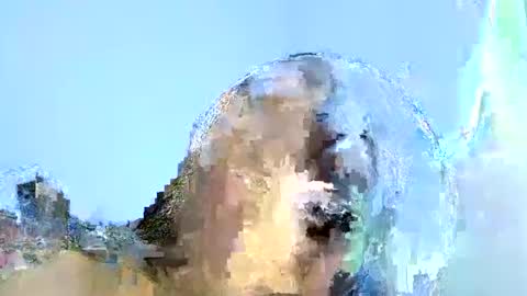 Liz Gwyneth Charlota online show from January 17, 11:59 am