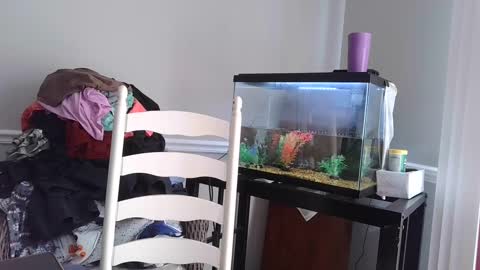 Fallen Angel 21 online show from March 4, 5:56 pm