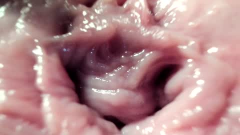 Im Courtney Nice to meet youFollow meInstagram courtneyluv778 online show from January 22, 8:06 pm