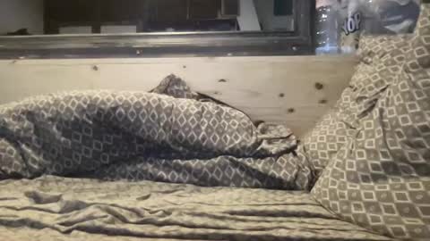 Snapshot of crapaud75018 chatting on January 8, 6:20 am crapaud75018 online show from January 8, 6:20 am