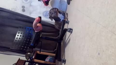 Snapshot of crazy4feetmanic chatting on October 29, 6:15 am drbucknaked online show from October 29, 6:15 am