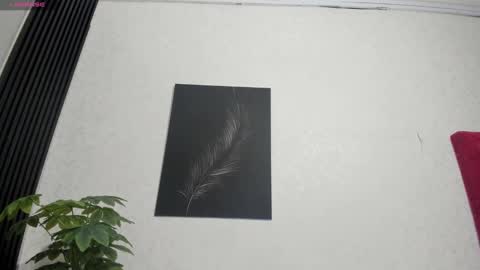 cristopher23  online show from February 2, 7:57 pm