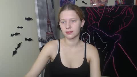 Stella online show from November 12, 7:20 am