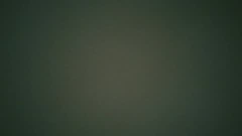 Snapshot of ctbddc chatting on December 24, 9:17 am ctbddc online show from December 24, 9:17 am