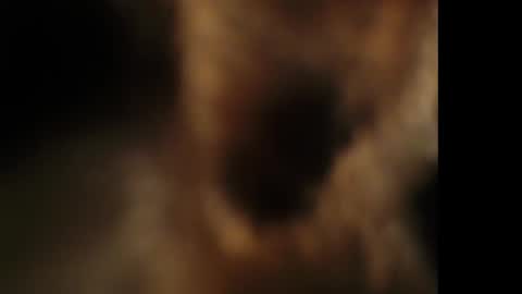 Giselle online show from October 25, 7:41 pm