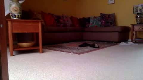 cumonherguys online show from November 6, 8:04 am