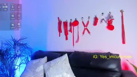 Rose online show from November 24, 11:26 pm