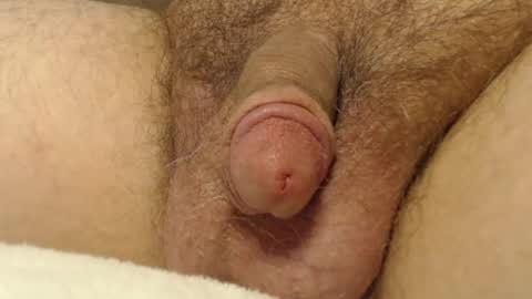 curve66 online show from October 16, 12:55 am