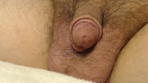 curve66 online show from October 22, 1:06 am