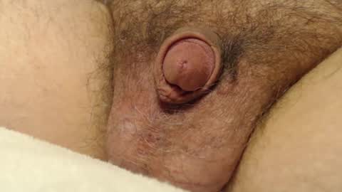 curve66 online show from December 4, 3:38 am