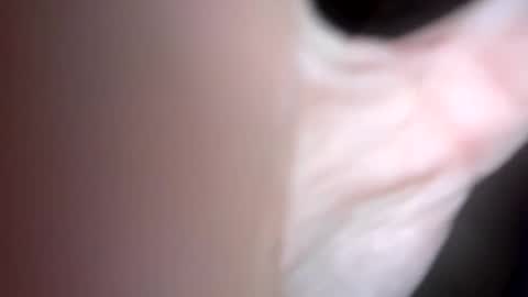 Snapshot of curvy24777 chatting on February 1, 6:10 am curvy24777 online show from February 1, 6:10 am