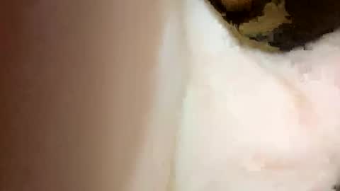 Snapshot of curvy24777 chatting on February 15, 7:06 pm curvy24777 online show from February 15, 7:06 pm