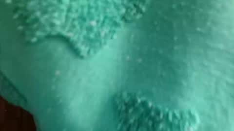 cutebuu online show from November 21, 8:51 pm