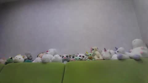 Chloe online show from October 10, 12:53 am