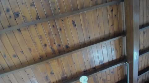 Snapshot of dafne_hillss chatting on September 27, 2:00 pm dafne_hillss online show from September 27, 2:00 pm