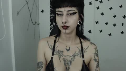 dakota online show from February 13, 5:48 am