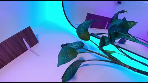 Snapshot of dalila_thoms chatting on November 8, 10:48 am Dalila online show from November 8, 10:48 am