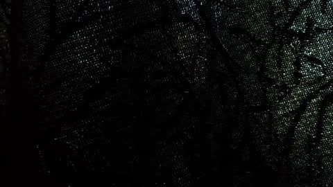 Damson online show from September 28, 8:09 am