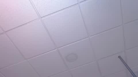 dana online show from December 19, 2:23 am