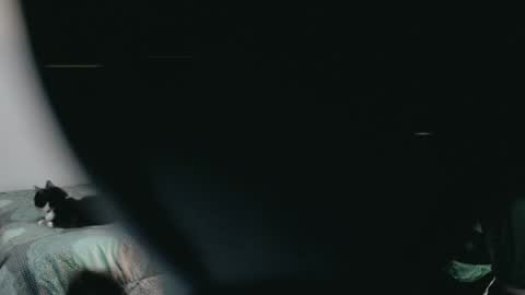 dani y jocelyn online show from March 2, 11:53 pm