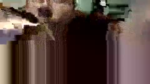 danieldayz online show from October 9, 8:34 am