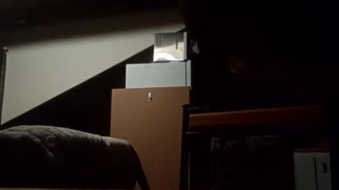 danieldayz online show from November 4, 10:58 am