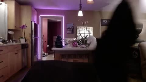 DanikaWhite69 online show from February 9, 8:22 am