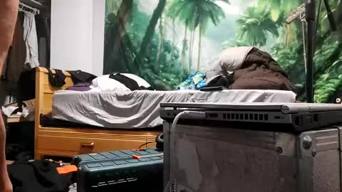 danimal5000 online show from September 17, 3:19 am