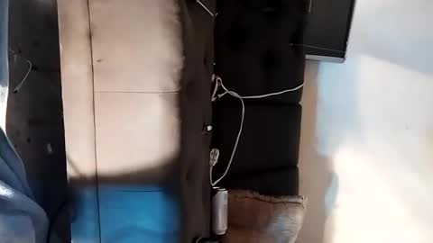 dandeb online show from September 15, 6:19 pm