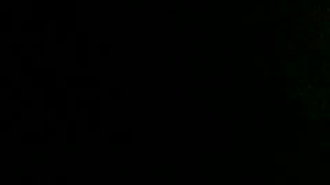 dandeb online show from October 2, 10:00 am