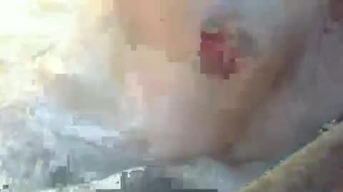 Snapshot of dankz4two0 chatting on January 11, 3:09 pm dankz4two0 online show from January 11, 3:09 pm