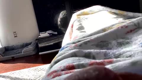 dannyboy621 online show from November 6, 1:56 pm