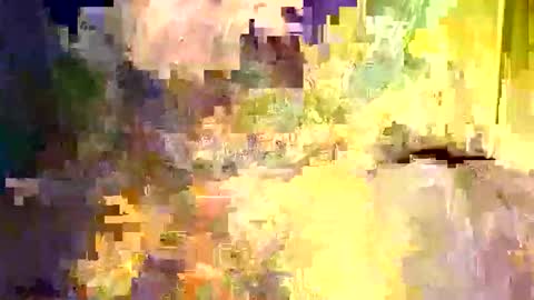 dano9696 online show from December 5, 6:22 am