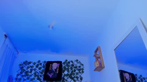 dante_cooper_0 online show from December 12, 8:14 am