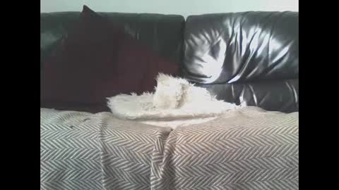 Snapshot of darealdondaddy chatting on March 9, 11:58 am DaRealDonDaddy online show from March 9, 11:58 am