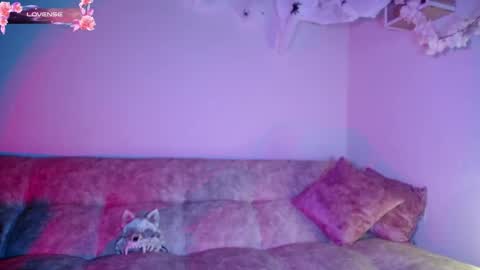 Dark online show from October 30, 11:44 am