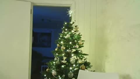 Dario online show from December 25, 7:56 pm