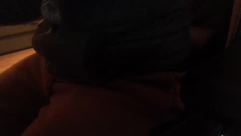 davdao3 online show from December 20, 10:38 am