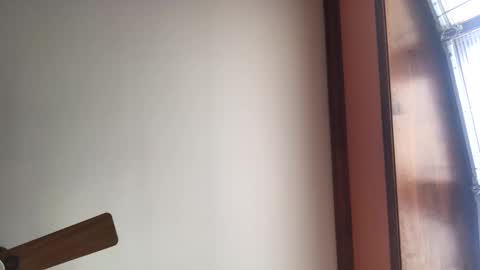 dave1964m online show from January 25, 3:20 pm